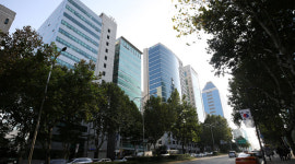 동그리랭크업 | 랭크업, 추석 맞이 홈페이지 제작 특별할인 프로모션 진행