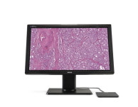 씨앤씨메디텍, 디지털 병리 진단을 위한 전용 모니터 출시