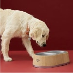 “200만원 명품 패딩도 기꺼이…유통가 큰손된 ‘펫미족’