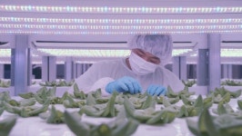 <BS인터뷰> 진짜 ‘농장’ 품은 이케아 “지속가능한 먹거리 생산”