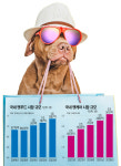[급성장하는 펫코노미 시장(中)] “멍냥이와 쇼핑오세요”… 유통·제약사 펫팸족 모시기 ‘분주’