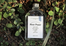 애견카페 플레르퍼피, 강아지 디퓨저 ‘플레르퍼피 마조람도그’ 출시