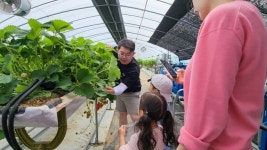 <현장> 자연의 선물로 만든 먹거리 체험… 초록빛 ‘팜스테이 여행’ 어때요