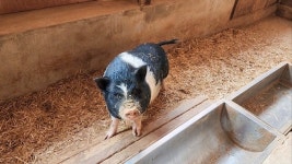 <현장> 자연의 선물로 만든 먹거리 체험… 초록빛 ‘팜스테이 여행’ 어때요