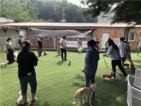 ㈜바우월드, 펫 케어 시스템 접목 애견미용 유치원 론칭