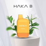하카코리아, 일회용 액상 전자담배 ‘HAKA B’ 출시 예정