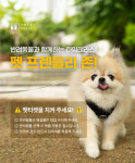 “댕댕이와 함께 쇼핑”…타임테라스 동탄, 펫 프렌들리 정책 도입