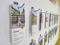 부산, 태안, 포천… ‘반려동물 친화도시’ 팔 걷은 지자체