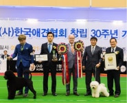 미국켄넬클럽(AKC), 한국애견협회(KKC) 공식 승인