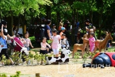 부평숲 인천나비공원,  나비야 반가워 주제 체험행사