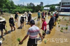 부천시, 토종벼 손모내기 팜파티 행사
