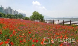 남양주 삼패한강시민공원으로 오세요