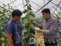 연천군,  3일간 연작장해 극복 컨설팅