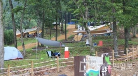 강화군 덕산국민여가캠핑장 휴가철 손님맞이