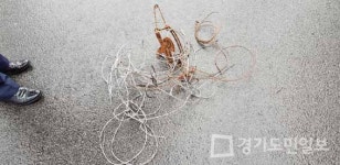 포천시, 멸종위기 1급 산양 보호 나서