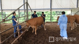 의왕시 가축전염병 예방접종