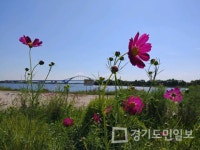 평택시 어울림 오성 강변 축제