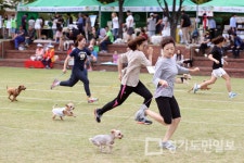 부천시 반려동물 어울림 한마당
