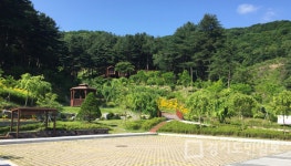 포천 하늘아래 치유의 숲으로 떠나요! 