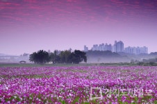 수원시 당수동 시민농장 추억공유 이벤트