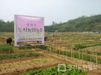 안산시 주말농장 3375구획 분양