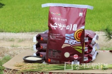화성시 햇살드리 수향미 이마트 할인행사