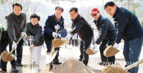 남양주시 유실수 1200주 식재