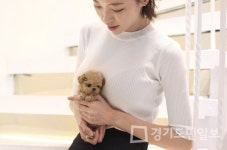고양이·강아지분양샵 펫갤러리아·펫제이, 말티즈·포메라니안·비숑프리제 애견 이벤트