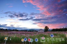 수원시농업기술센터  당수동 시민농장 백서 출간