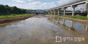 용인 처인구, 우기 대비 지방하천 정비 마쳐