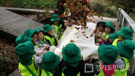 용인시,  유아숲체험 하반기 프로그램