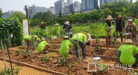 부천시보건소, 치매어르신 돌봄치유농장 운영