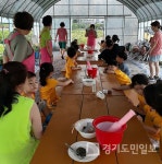 인천  서구 오류왕길동, 봉숭아물들이기 추억 만들기