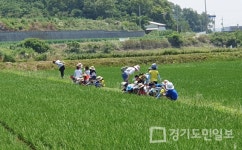 화성시 어린이 친환경 논 산책 프로젝트