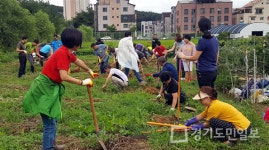 경기도, 도민 1만여명에게 텃밭 제공