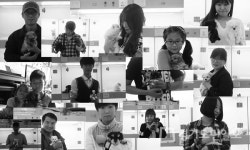 영등포강아지분양 요미펫, 비숑프리제/웰시코기 등 다양한 견종 분양