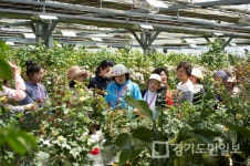 4월24일부터 고양국제꽃박람회 개최