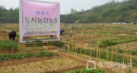 안산시 주말농장 분양 들어가