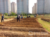 시흥시, 시민공동체텃밭 500세대 선정