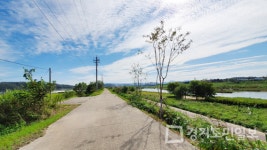 파주시, 공릉천 제방 명품 가로수길로