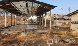 화성시,   가축분뇨 배출 축사 관용 없다