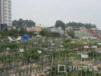 이천시 도시농장 텃밭 가꾸기