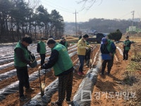 평택시 청북읍 새마을지도자협의회   사랑의 감자심기 행사 가져