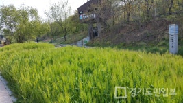 안양시, 안양천변에 가면 특별한 장면