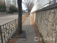 파주시,  가로수 보호틀 정비 사업 추진