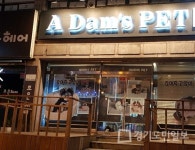 아담스펫 애견샵 강아지분양 전문 펫브랜드, 애견분양시 다양한 혜택제공