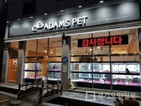 강아지·고양이 분양브랜드 아담스펫 브리딩 등 프리미엄 전략으로 전국적인 인기