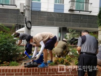 인천 남동구 만수3동,  여름초화 150본 식재 환경정비