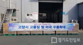 고양서 재배된 참드림·가와지 1호 쌀 미국 수출 공급 확대 