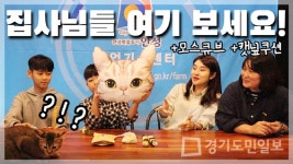 안성시, 랜선 농촌체험 프로그램 진행